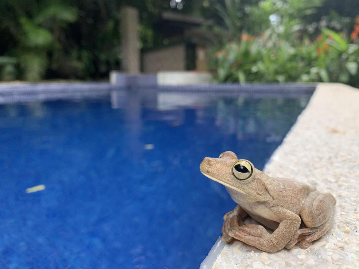 La Posada Jungle Hotel 마누엘안토니오 외부 사진