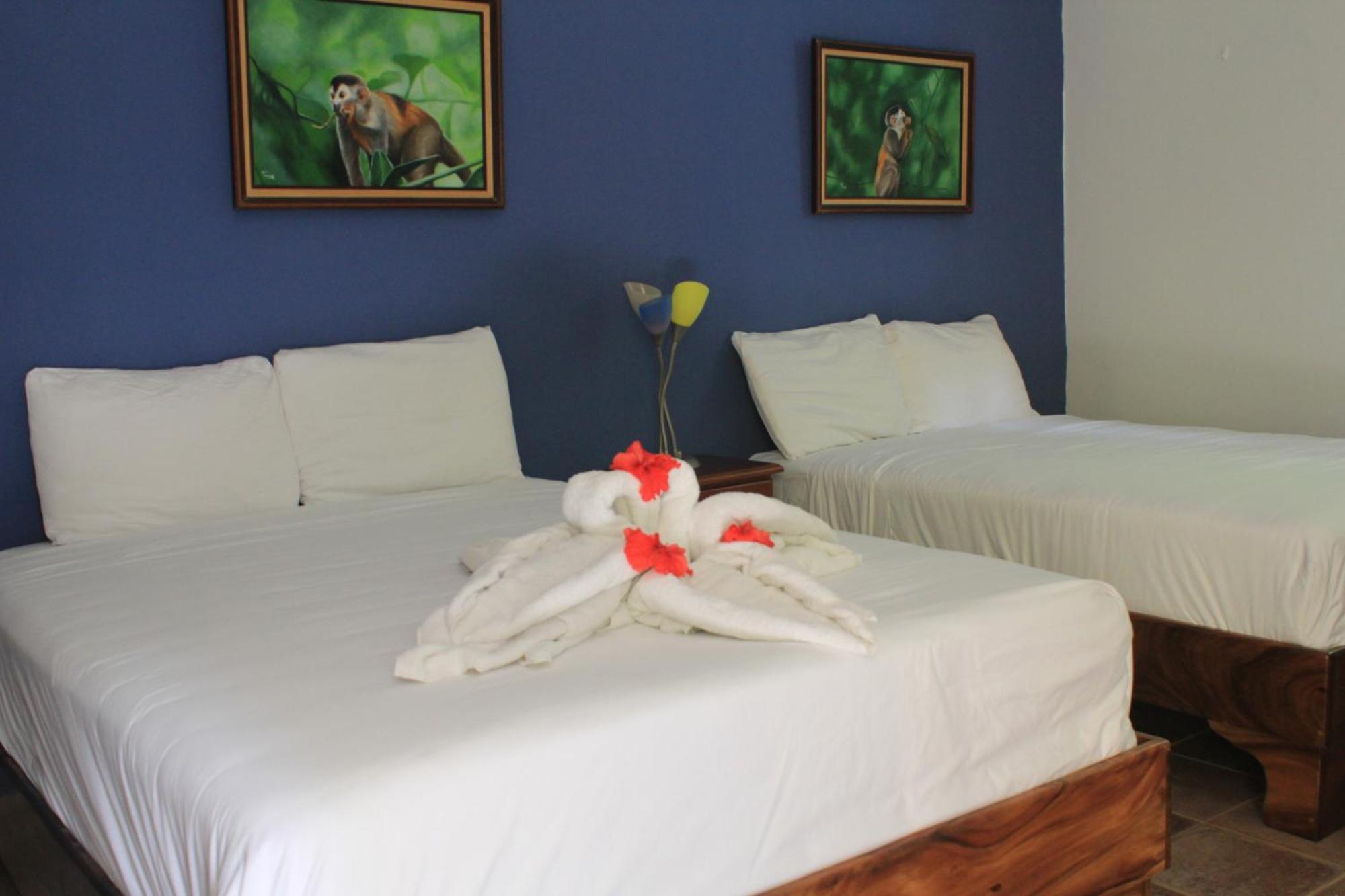 La Posada Jungle Hotel 마누엘안토니오 객실 사진