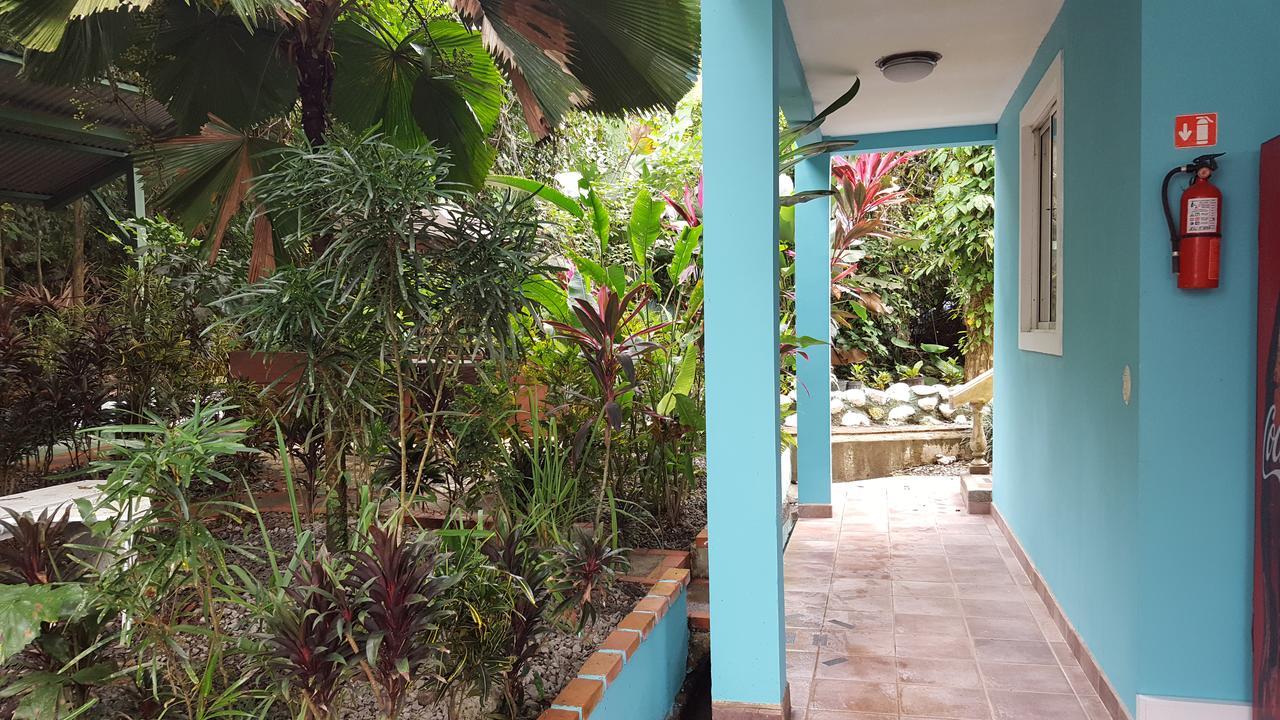 La Posada Jungle Hotel 마누엘안토니오 외부 사진