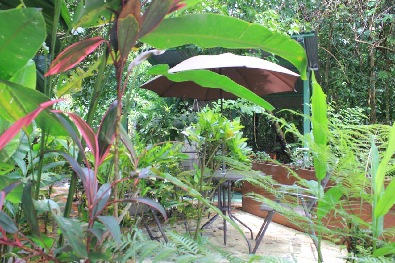 La Posada Jungle Hotel 마누엘안토니오 외부 사진