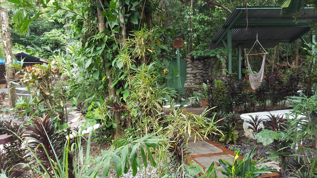 La Posada Jungle Hotel 마누엘안토니오 외부 사진
