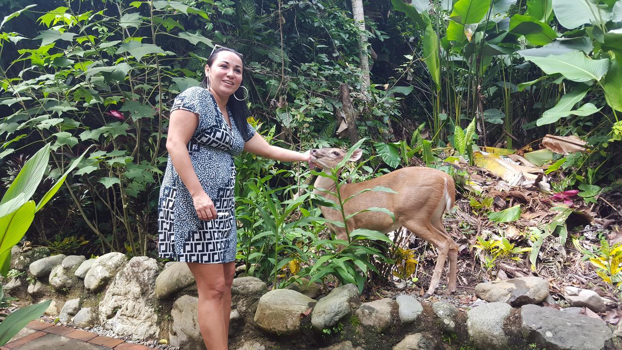 La Posada Jungle Hotel 마누엘안토니오 외부 사진